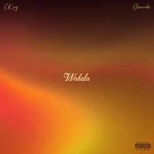 Ckay ft Olamide – Wahala